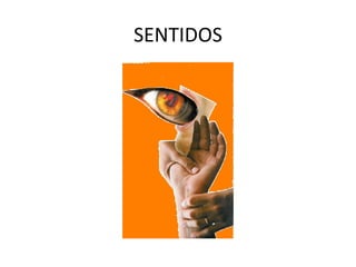 SENTIDOS 