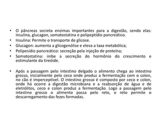 • O pâncreas secreta enzimas importantes para a digestão, sendo elas:
insulina, glucagon, somatostatina e polipeptídio pancreático.
• Insulina: Permite o transporte de glicose.
• Glucagon: aumenta a glicogenólise e eleva a taxa metabólica;
• Polipesidio pancreático: secreção pela injeção de proteína;
• Somatostatina: inibe a secreção do hormônio do crescimento e
estimulante da tireóide.
• Após a passagem pelo intestino delgado o alimento chega ao intestino
grosso, inicialmente pelo ceco onde produz a fermentação com o colon,
no cão é imperceptível. O intestino grosso é composto por ceco e colon,
onde há ocorre a digestão microbiana e a reabsorção de água e de
eletrólitos, ceco e colon produz a fermentação. Logo a passagem pelo
intestino grosso o alimento passa pelo reto, o reto permite o
descarregamento das fezes formadas.
 
