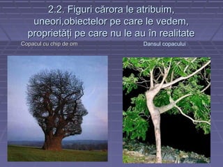 2.2. Figuri c2.2. Figuri cărora le atribuim,ărora le atribuim,
uneori,obiectelor pe care le vedem,uneori,obiectelor pe care le vedem,
proprietăţi pe care nu le au în realitateproprietăţi pe care nu le au în realitate
Copacul cu chip de omCopacul cu chip de om Dansul copacului
 