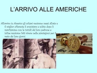 L’ARRIVO ALLE AMERICHE
All’arrivo in America gli schiavi venivano messi all’asta e
il miglior offerente li acquistava e subito dopo li
marchiavano con le iniziali del loro padrone e
infine venivano fatti vivere nelle piantagioni per il
resto dei loro giorni.

 