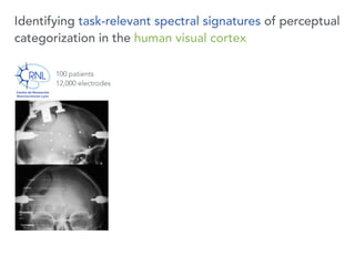 Identifying task-relevant spectral signatures of perceptual
categorization in the human visual cortex
100 patients 
12,000...