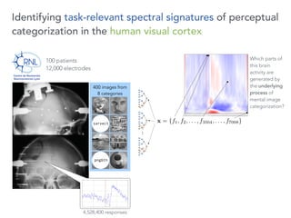 Identifying task-relevant spectral signatures of perceptual
categorization in the human visual cortex
100 patients 
12,000 electrodes
4,528,400 responses
400 images from
8 categories
x = {f1, f2, . . . , f3504, . . . , f7008}
Which parts of
this brain
activity are
generated by
the underlying
process of
mental image
categorization?
 
