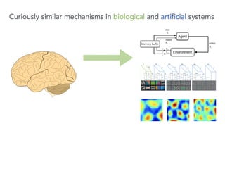 Memory buffer
Curiously similar mechanisms in biological and artificial systems
 