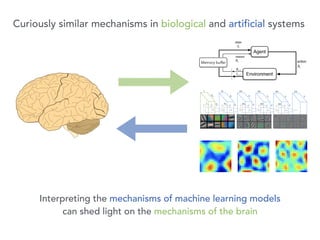 Interpreting the mechanisms of machine learning models 
can shed light on the mechanisms of the brain
Memory buffer
Curiously similar mechanisms in biological and artificial systems
 