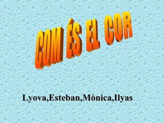 Lyova,Esteban,Mònica,Ilyas COM  ÉS  EL  COR  
