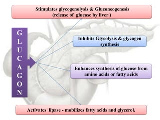 Gallery Detail: Im 02 Intigration Of Metabolism