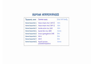 infectious mononucleosis