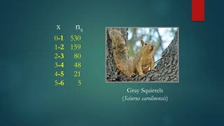 x nx
0-1 530
1-2 159
2-3 80
3-4 48
4-5 21
5-6 5
Gray Squirrels
(Sciurus carolinensis)
 