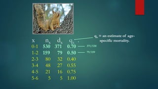 x nx dx qx .
0-1 530 371 0.70
1-2 159 79 0.50
2-3 80 32 0.40
3-4 48 27 0.55
4-5 21 16 0.75
5-6 5 5 1.00
qx = an estimate of age-
specific mortality.
371/530
79/159
 