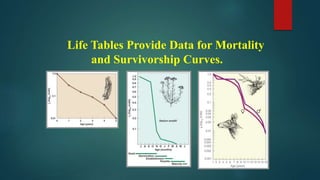 Life Tables Provide Data for Mortality
and Survivorship Curves.
 
