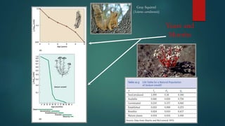 Gray Squirrel
(Sciurus carolinensis)
Years and
Months
 