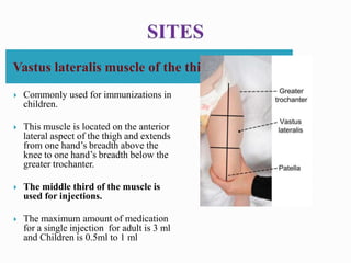 Vastus lateralis muscle of the thigh
 Commonly used for immunizations in
children.
 This muscle is located on the anterior
lateral aspect of the thigh and extends
from one hand’s breadth above the
knee to one hand’s breadth below the
greater trochanter.
 The middle third of the muscle is
used for injections.
 The maximum amount of medication
for a single injection for adult is 3 ml
and Children is 0.5ml to 1 ml
 