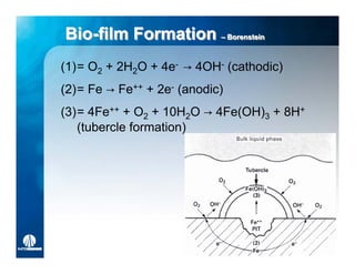 Bio-film Formation –– Borenstein
Bio-film              Borenstein



(1)= O2 + 2H2O + 4e- → 4OH- (cathodic)
(2)= Fe → Fe++ + 2e- (anodic)
(3)= 4Fe++ + O2 + 10H2O → 4Fe(OH)3 + 8H+
   (tubercle formation)
 