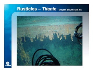Rusticles – Titanic -- Droycon BioConcepts Inc.
                       Droycon BioConcepts Inc.
 