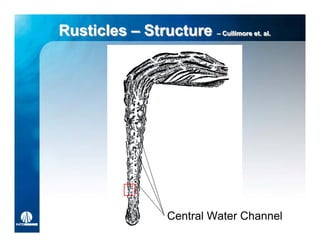 Rusticles – Structure –– Cullimore et. al.
                         Cullimore et. al.




                     Central Water Channel
 