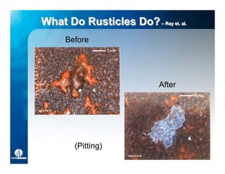 What Do Rusticles Do? –– Ray et. al.
                         Ray et. al.


     Before




                             After




        (Pitting)
 