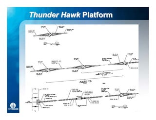 Thunder Hawk Platform
 