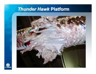 Thunder Hawk Platform
 