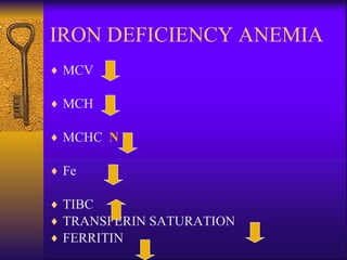 IRON DEFICIENCY ANEMIA MCV MCH  MCHC  N Fe TIBC TRANSFERIN SATURATION FERRITIN 
