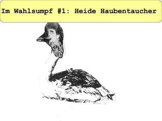 Im Wahlsumpf #1: Heide Haubentaucher   