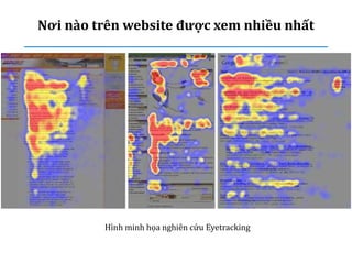 Nơi nào trên website được xem nhiều nhất
Hình minh họa nghiên cứu Eyetracking
 