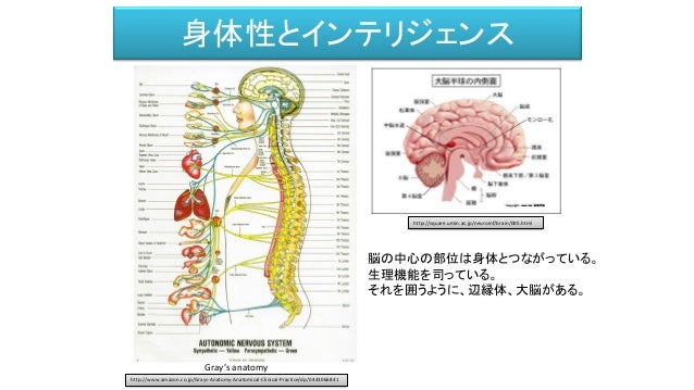 人工知能 身体 意識