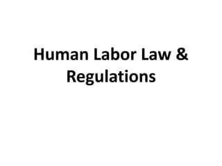 Human Labor Law &
Regulations
 