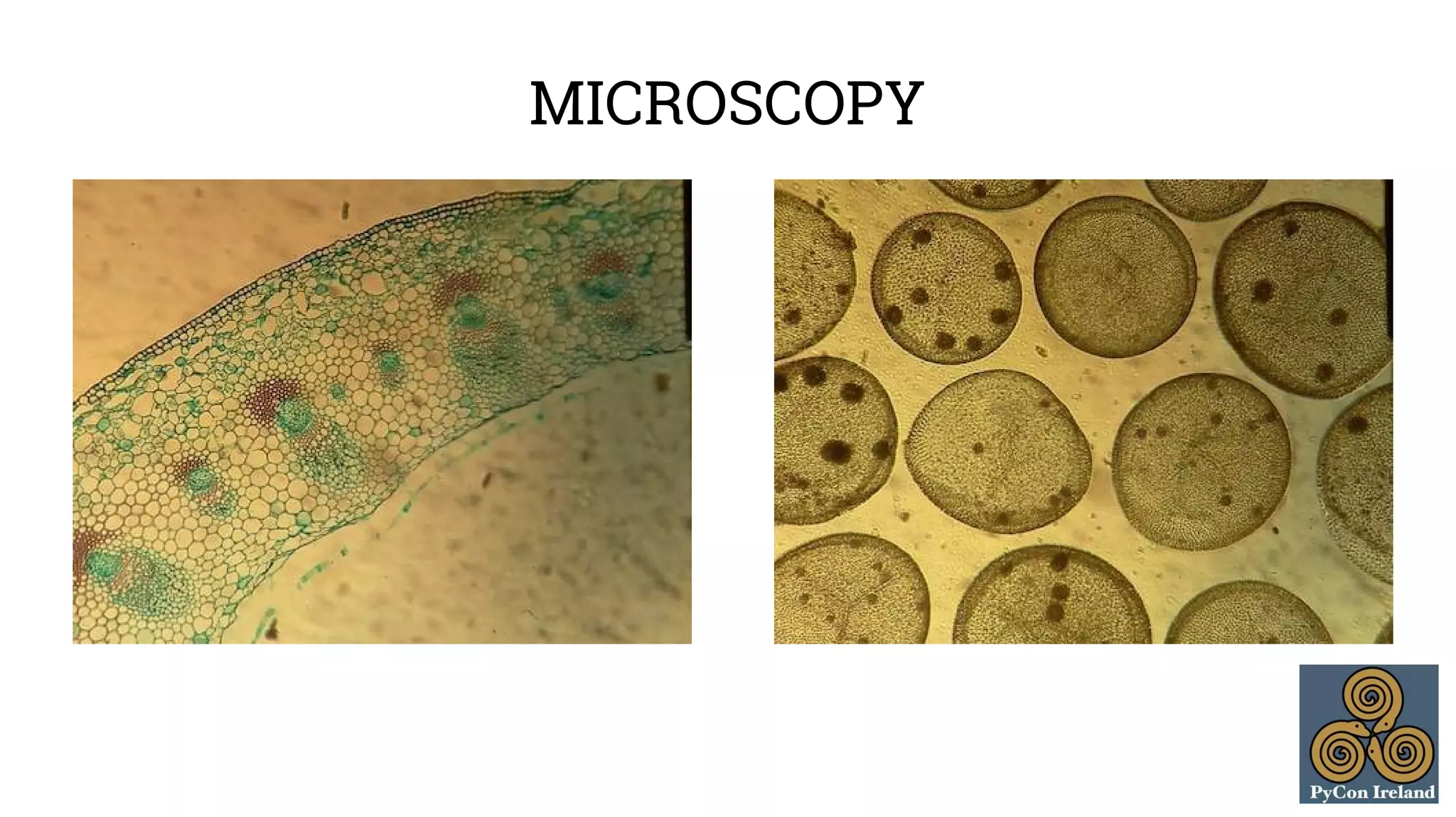 MICROSCOPY 
 