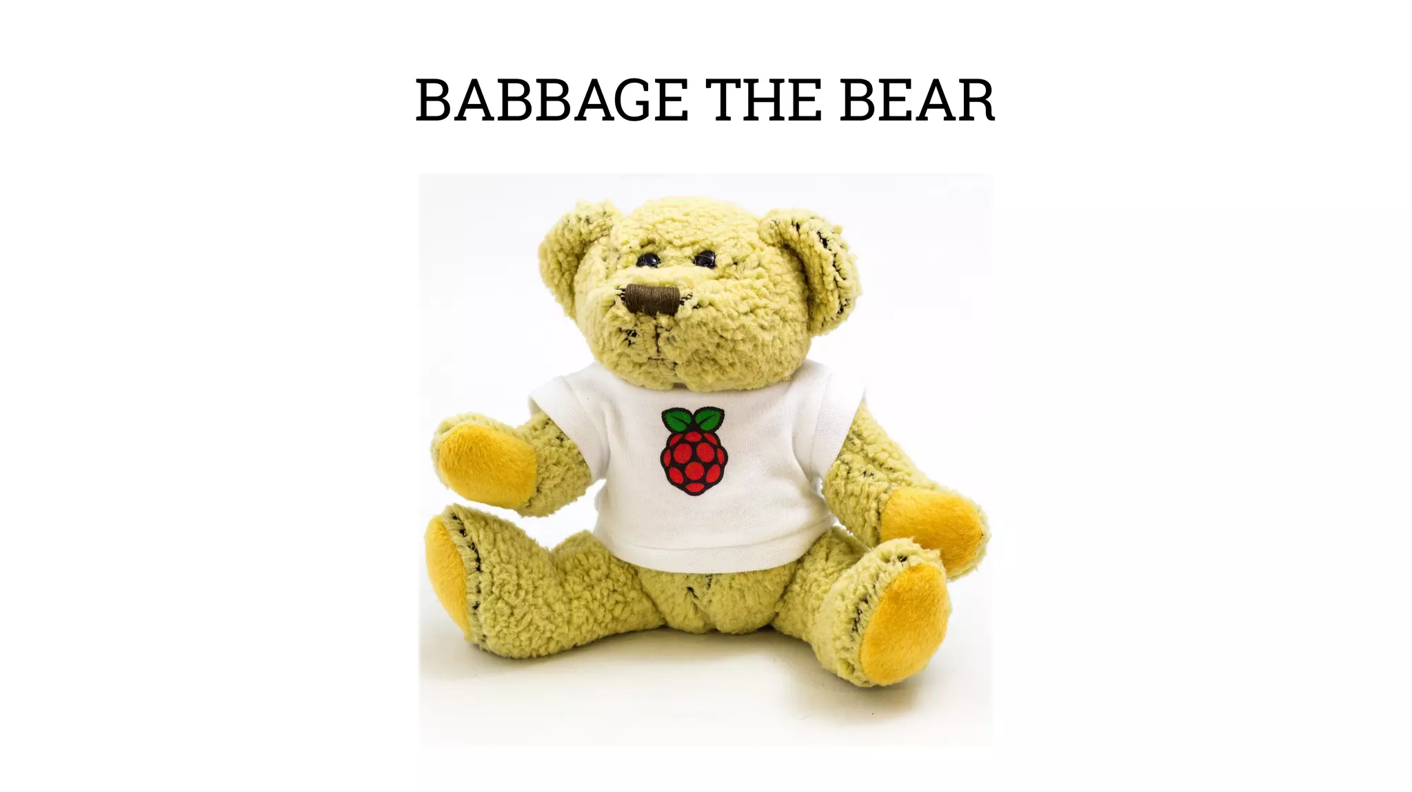 BABBAGE THE BEAR 
 