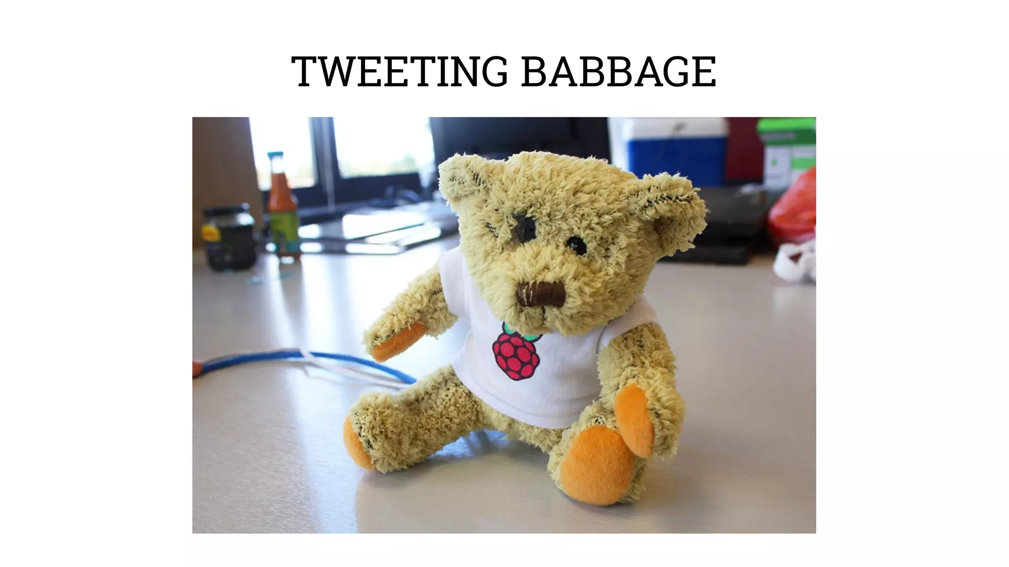 TWEETING BABBAGE 
 