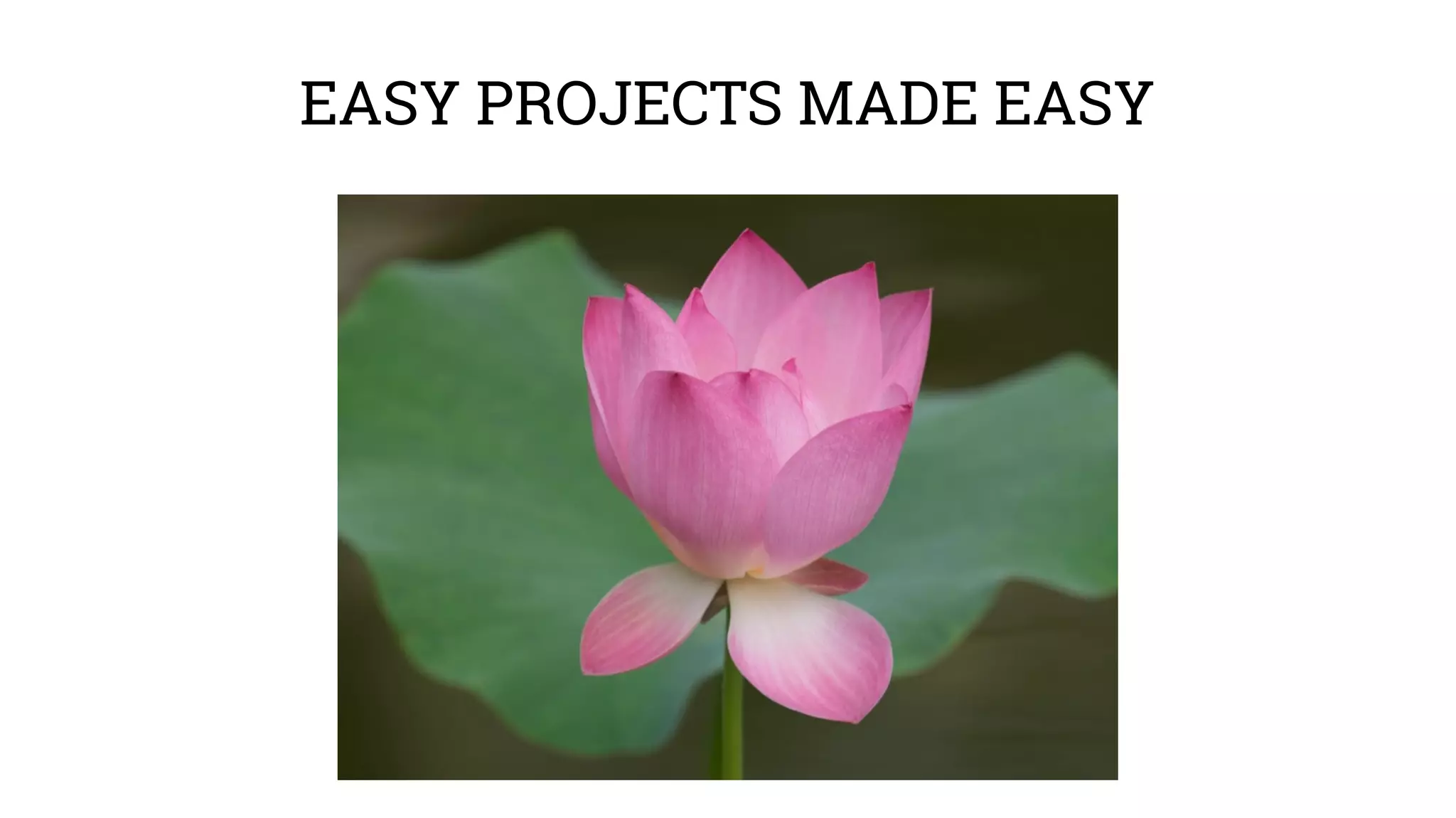 EASY PROJECTS MADE EASY 
 