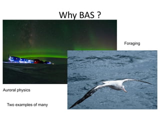 Why BAS ?
Auroral physics
Two examples of many
Foraging
 