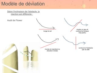 Modèle de déviation
  Selon l'inclinaison de l'obstacle, la
     réaction est différente :

  Audit de Flower
 