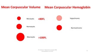 Mean Corpuscular Volume
Normocytic
Microcytic
Macrocytic
Mean Corpuscular Hemoglobin
Normochromic
Hypochromic
>100FL
<80FL
Dr.Sreeraj.V."Approach to anemia:IMA
Kunnmkulam,12/11/22"
11
 