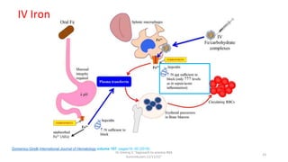 Dr.Sreeraj.V."Approach to anemia:IMA
Kunnmkulam,12/11/22"
23
Domenico Girelli,International Journal of Hematology volume 107, pages16–30 (2018)
IV Iron
 
