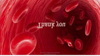 Dr.Sreeraj.V."Approach to anemia:IMA
Kunnmkulam,12/11/22"
27
 