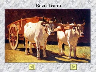 Bovi al carro
 