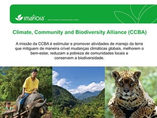 Climate, Community and Biodiversity Alliance (CCBA) 
A missão da CCBA é estimular e promover atividades de manejo da terra que mitiguem de maneira crível mudanças climáticas globais, melhorem o bem-estar, reduzam a pobreza de comunidades locais e 
conservem a biodiversidade.  