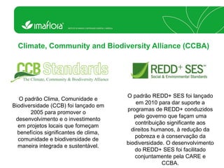 Climate, Community and Biodiversity Alliance (CCBA) 
O padrão Clima, Comunidade e Biodiversidade (CCB) foi lançado em 2005 para promover o desenvolvimento e o investimento em projetos locais que forneçam benefícios significantes de clima, comunidade e biodiversidade de maneira integrada e sustentável. 
O padrão REDD+ SES foi lançado em 2010 para dar suporte a programas de REDD+ conduzidos pelo governo que façam uma contribuição significante aos direitos humanos, à redução da pobreza e à conservação da biodiversidade. O desenvolvimento do REDD+ SES foi facilitado conjuntamente pela CARE e CCBA.  