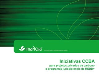 Iniciativas CCBA 
para projetos privados de carbono 
e programas jurisdicionais de REDD+  