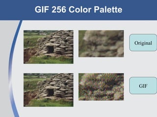 GIF 256 Color Palette Original GIF 