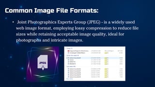 Common Image File Formats:
• Joint Photographics Experts Group (JPEG) - is a widely used
web image format, employing lossy compression to reduce file
sizes while retaining acceptable image quality, ideal for
photographs and intricate images.
 