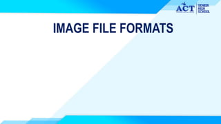 IMAGE FILE FORMATS
 