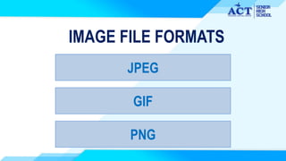 IMAGE FILE FORMATS
JPEG
GIF
PNG
 