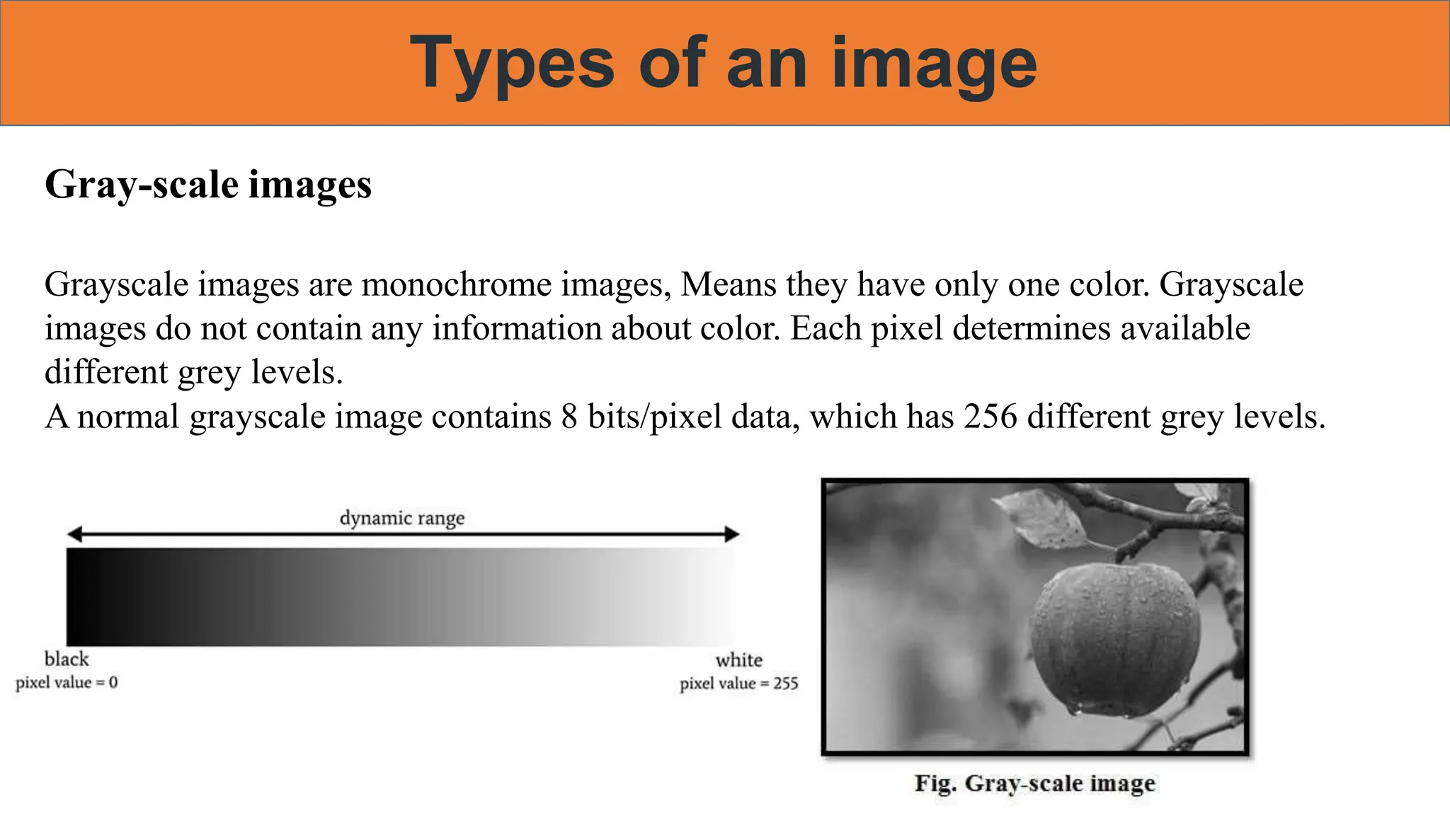 Types of an image
Gray-scale images
Grayscale images are monochrome images, Means they have only one color. Grayscale
images do not contain any information about color. Each pixel determines available
different grey levels.
A normal grayscale image contains 8 bits/pixel data, which has 256 different grey levels.
 