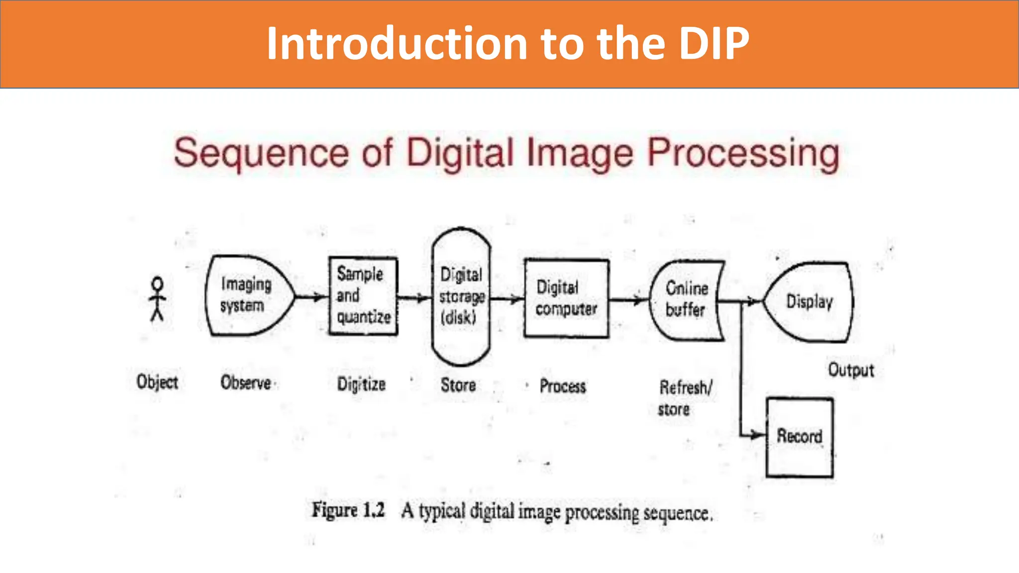 Introduction to the DIP
 