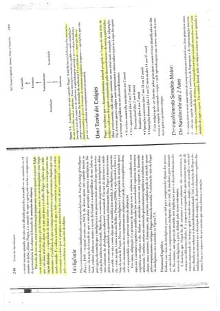 Image2011 07-08-080445