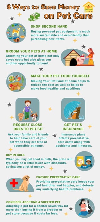 8 Ways to Save Money on Pet Care amidst the Rising Living Costs