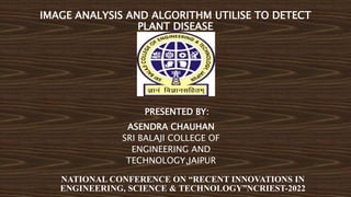 IMAGE ANALYSIS AND ALGORITHM UTILISE TO DETECT
PLANT DISEASE
NATIONAL CONFERENCE ON “RECENT INNOVATIONS IN
ENGINEERING, SCIENCE & TECHNOLOGY”NCRIEST-2022
PRESENTED BY:
ASENDRA CHAUHAN
SRI BALAJI COLLEGE OF
ENGINEERING AND
TECHNOLOGY,JAIPUR
 
