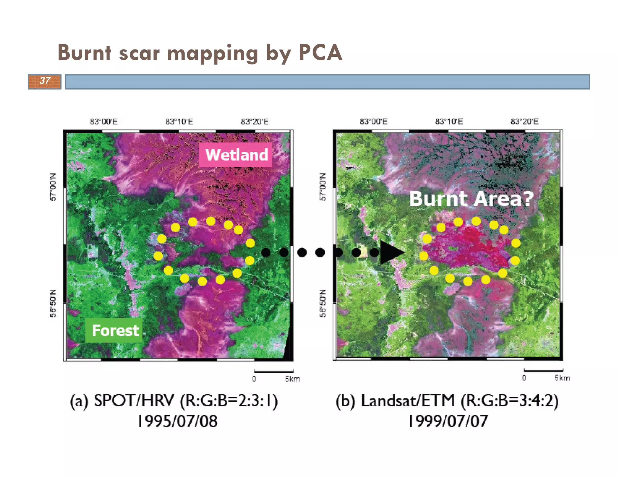 Burnt scar mapping by PCA
37
 